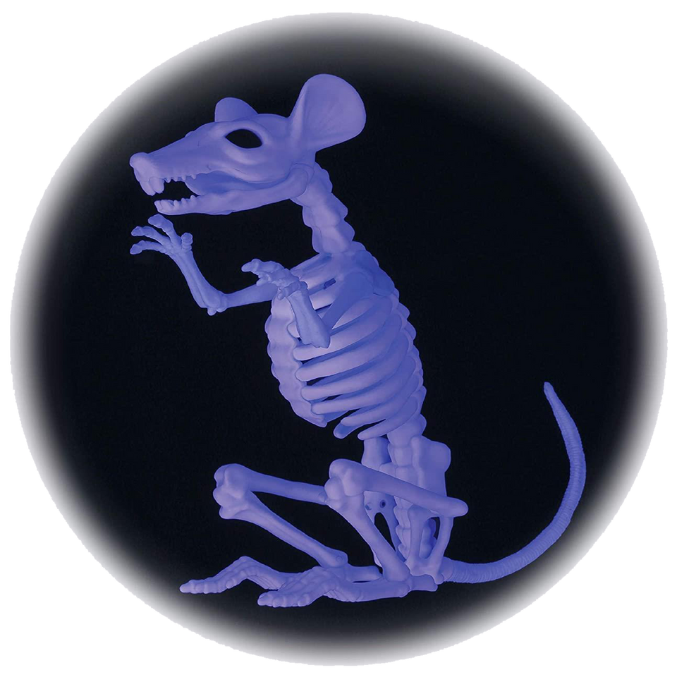 Crazy Bonez Ghostly Skeleton Rat Black Light Responsive 11.5" Halloween Prop