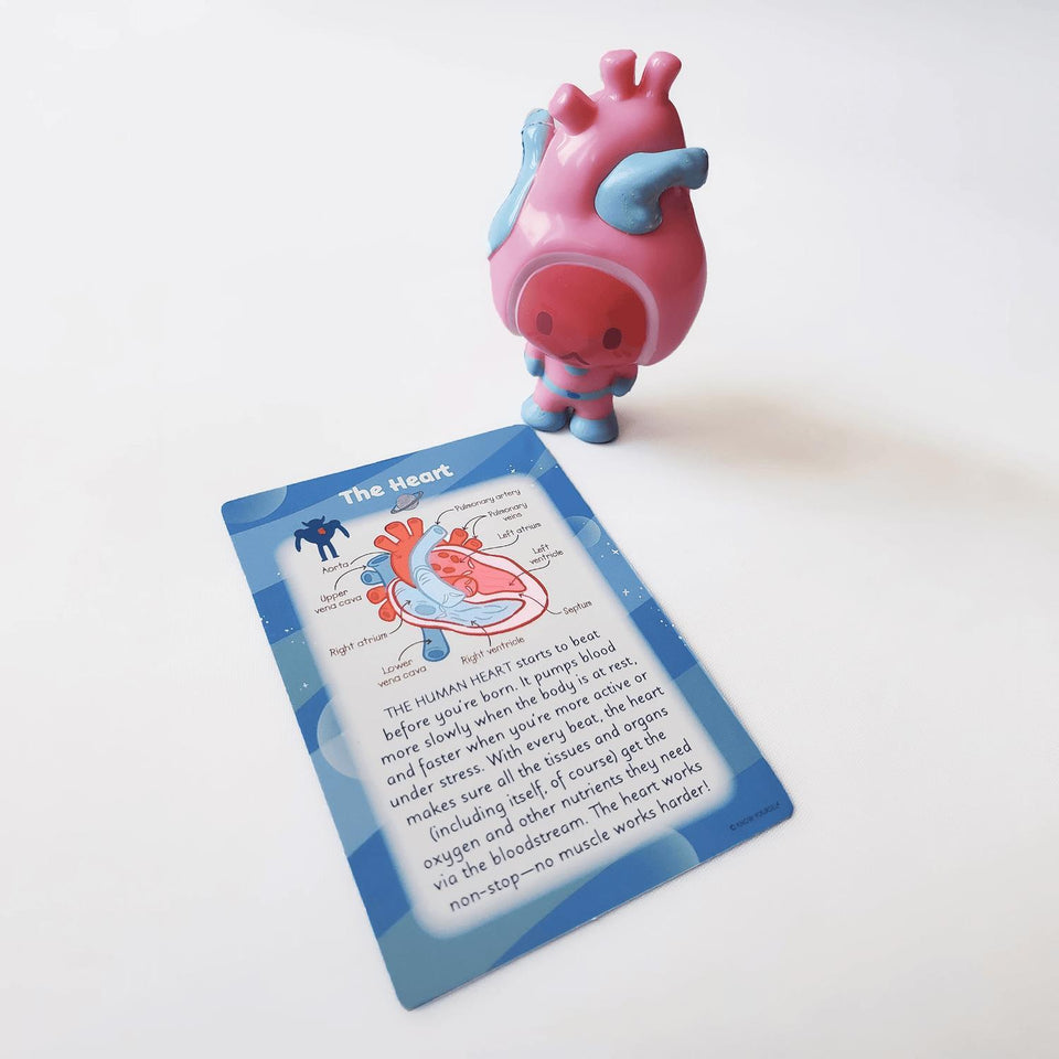Organauts Tinies Keychain & Figure Bundle 6pc Space Bio-Heroes Organ Learning Toy Know Yourself