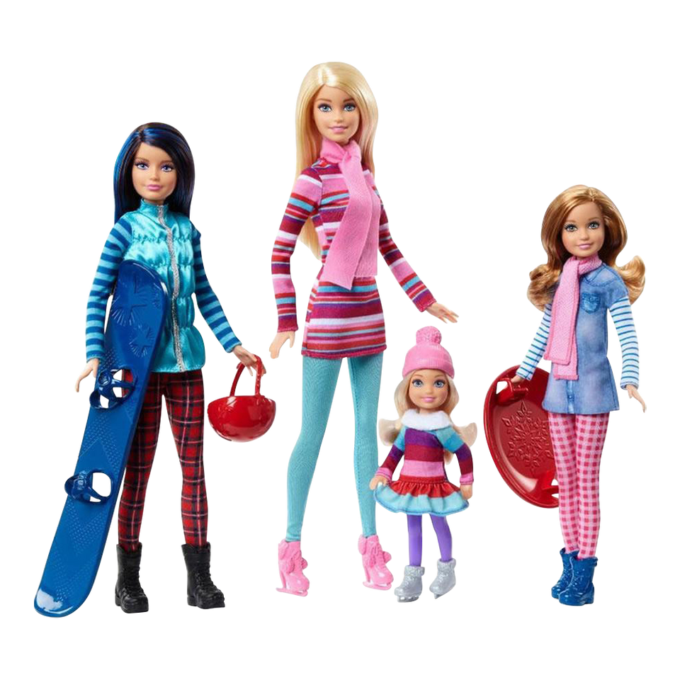 Barbie Sisters Winter Getaway Fashion Dolls Pink Passport Vacation Mattel FDR56