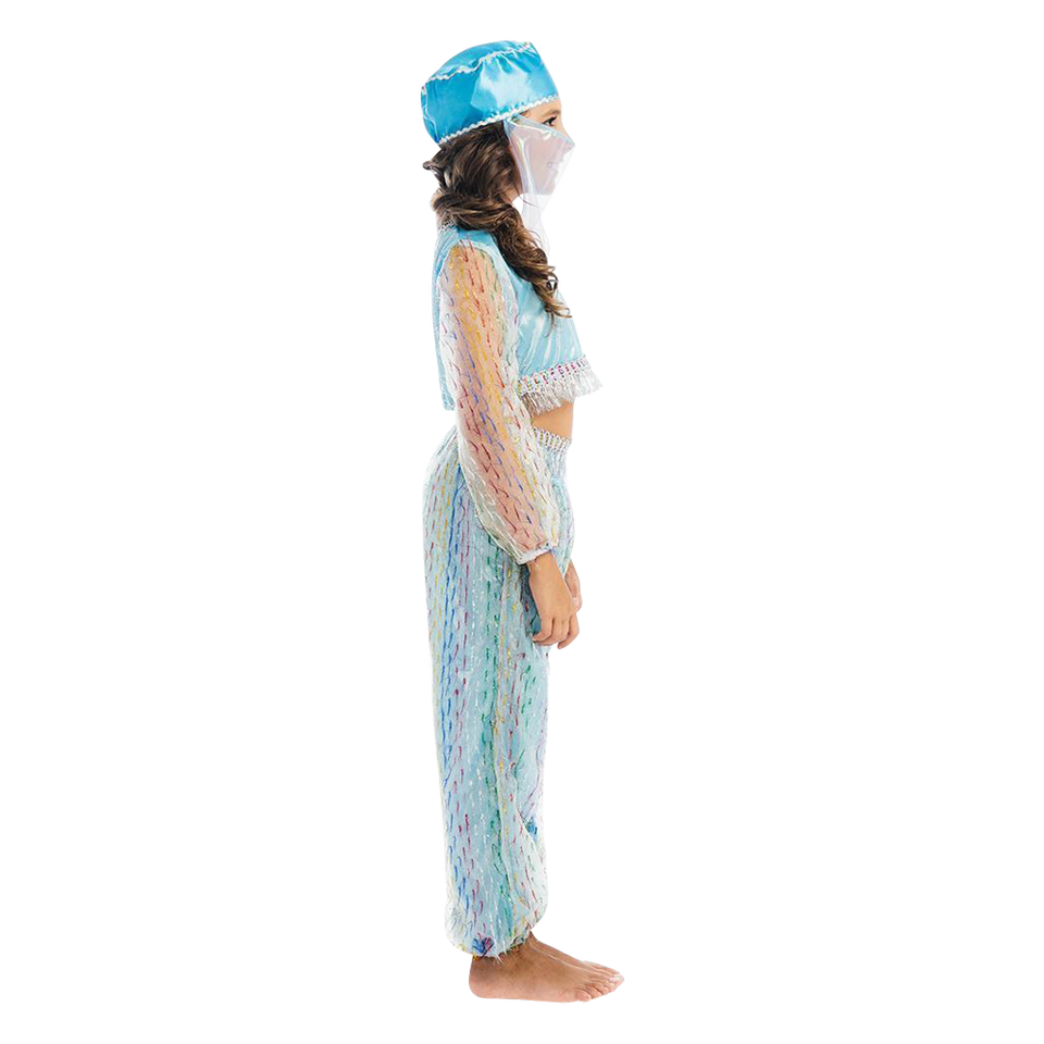 Magical Harem Jasmine Princess Girls Blue Costume Carnival Dress-Up Play - Large