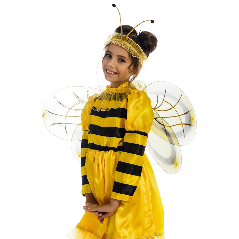 Bumblebee Bee Costume - Medium