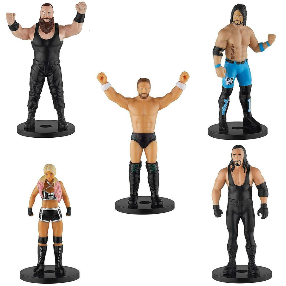 WWE Pencil Toppers 5pk Strowman Bliss Styles Undertaker Daniel Bryan PMI International