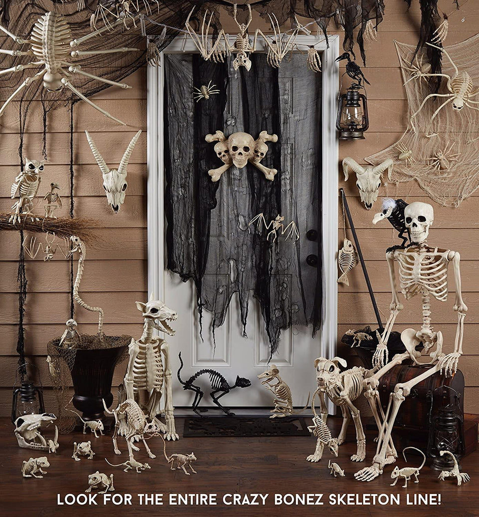 Bone Skull Candy Bowl & Skull Oil Slick Iridescent Finish Bundle Spooky Halloween Seasons Z18246W80646