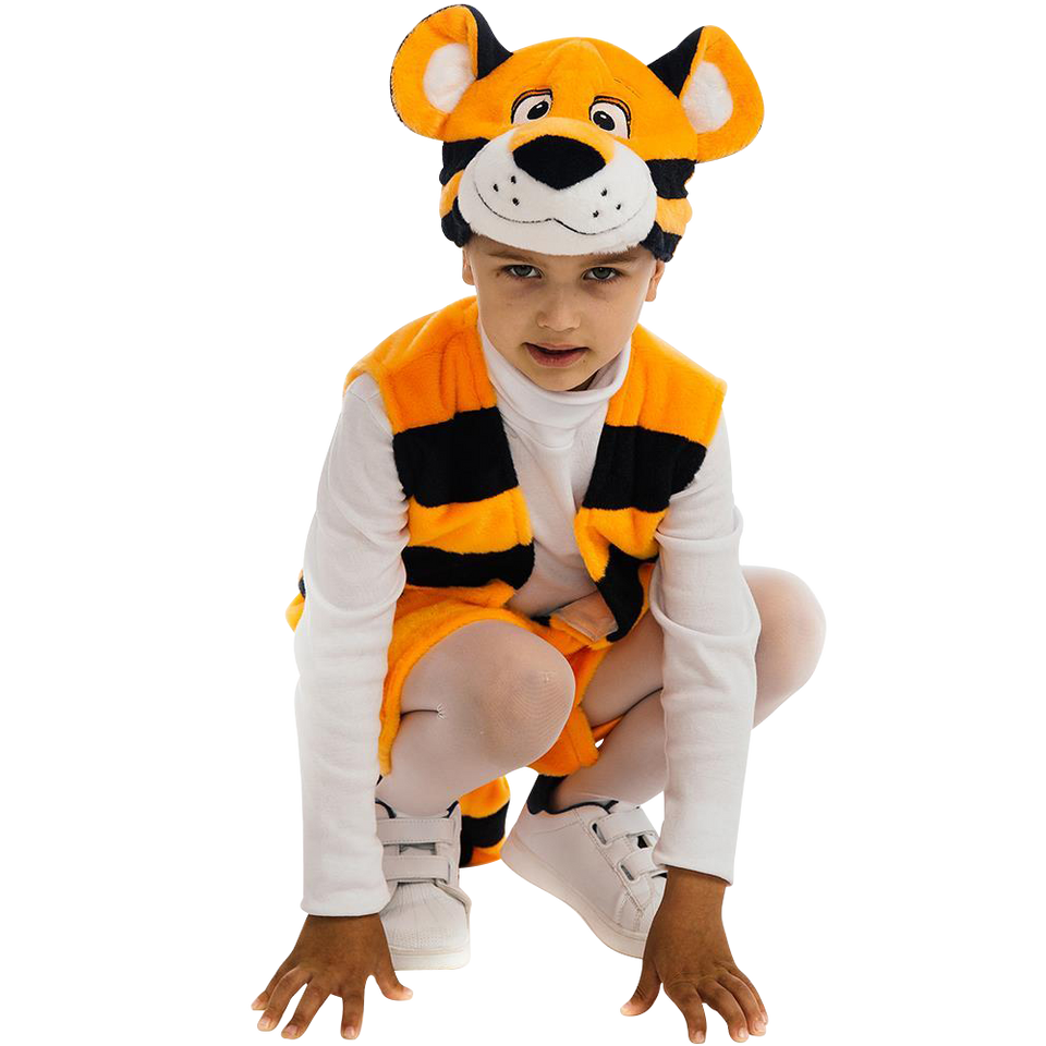 Bengal Tiger Animal  Boys Plush Costume Dress-Up Play Kids - Small