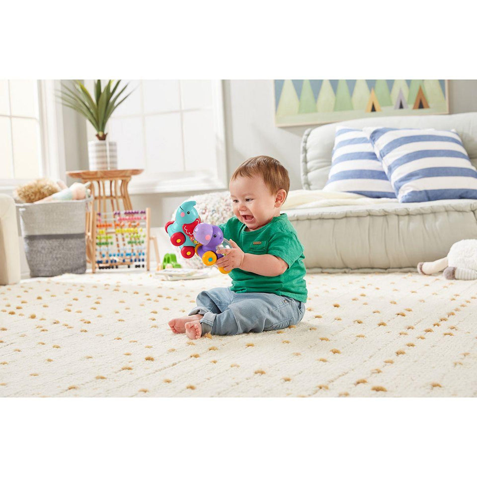 Fisher price toys for 4 month shop old babies